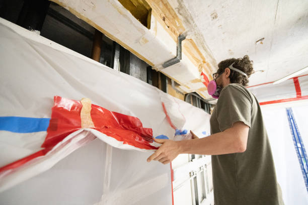  White Settlement, TX Mold Removal Pros